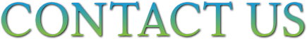 CONTACT US CONTACT US